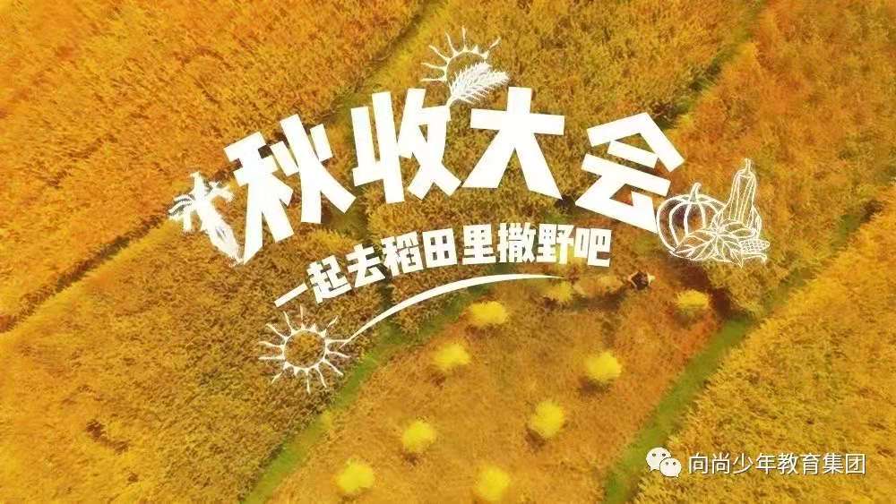 【班級(jí)定制】小農(nóng)夫 大豐收